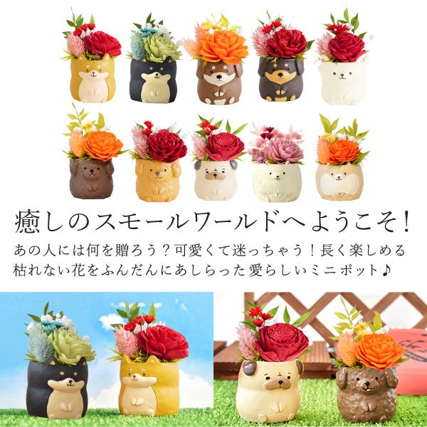 母の日 プレゼント 花 ギフト プリザーブドフラワー 犬 犬好き フラワーアレンジメント かわいい おしゃれ ペット バラ 薔薇 一輪 アニマル 動物 ミニ 置き物 送料無料 スイーツ お菓子 和菓子 ギフトセット おいもや
