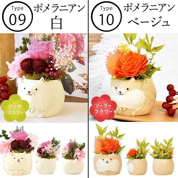 母の日 プレゼント 花 ギフト プリザーブドフラワー 犬 犬好き フラワーアレンジメント かわいい おしゃれ ペット バラ 薔薇 一輪 アニマル 動物 ミニ 置き物 送料無料 スイーツ お菓子 和菓子 ギフトセット おいもや