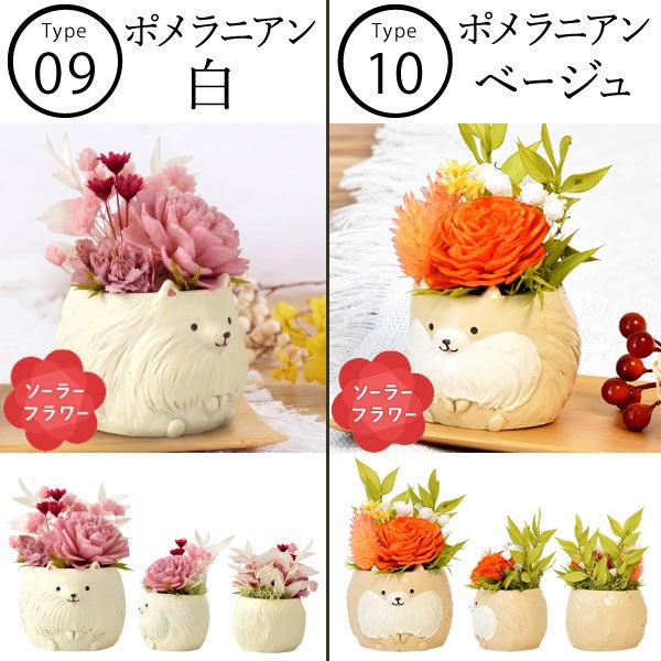 母の日 プレゼント 花 ギフト プリザーブドフラワー 犬 犬好き フラワーアレンジメント かわいい おしゃれ ペット バラ 薔薇 一輪 アニマル 動物 ミニ 置き物 送料無料 スイーツ お菓子 和菓子 ギフトセット おいもや