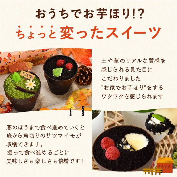 公式】芋ほりティラミス 2個｜さつまいもスイーツ専門店「おいもや