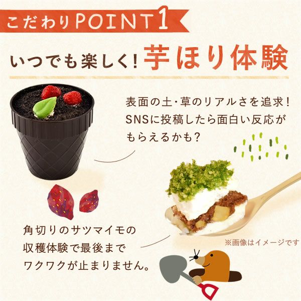 公式】芋ほりティラミス 2個｜さつまいもスイーツ専門店「おいもや