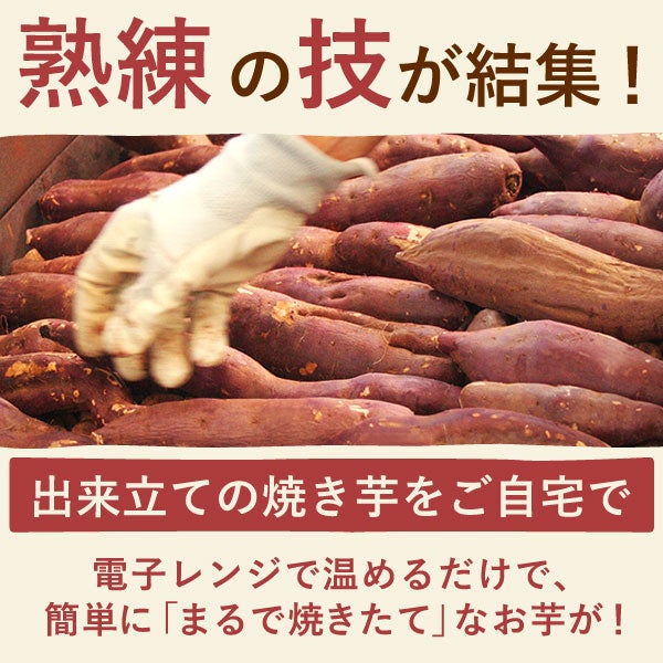 選べる2種！干し芋・焼き芋ギフト | おいもや