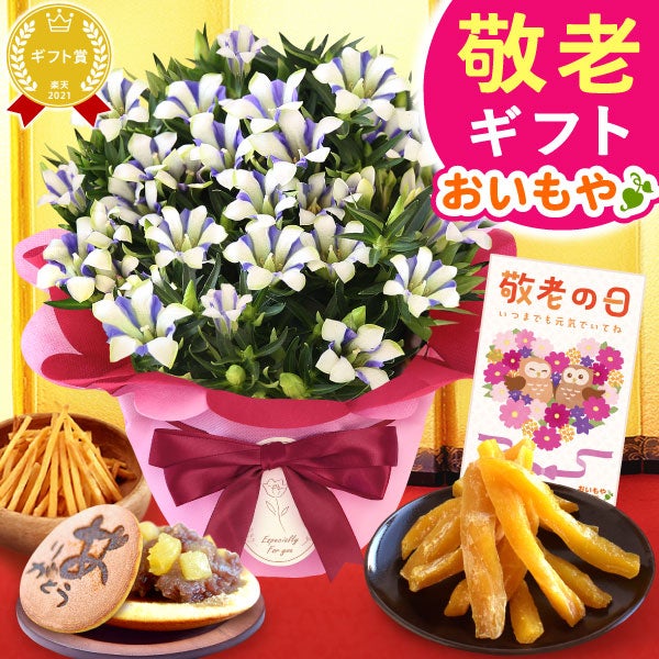 りんどう 5号＆選べるスイーツギフト 敬老の日 プレゼント ギフト 花 りんどう 竜胆 リンドウ 生花 花鉢 孫 ありがとう バウムクーヘン 干し芋 芋けんぴ かりんとう カステラ ようかん あんみつ 秋 送料無料 スイーツ お菓子 和菓子 洋菓子 メッセージカード おいもや