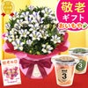 りんどう 5号＆選べるスイーツギフト 敬老の日 プレゼント ギフト 花 りんどう 竜胆 リンドウ 生花 花鉢 孫 ありがとう バウムクーヘン 干し芋 芋けんぴ かりんとう カステラ ようかん あんみつ 秋 送料無料 スイーツ お菓子 和菓子 洋菓子 メッセージカード おいもや