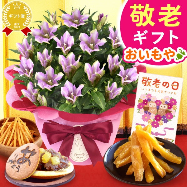 りんどう 5号＆選べるスイーツギフト 敬老の日 プレゼント ギフト 花 りんどう 竜胆 リンドウ 生花 花鉢 孫 ありがとう バウムクーヘン 干し芋 芋けんぴ かりんとう カステラ ようかん あんみつ 秋 送料無料 スイーツ お菓子 和菓子 洋菓子 メッセージカード おいもや