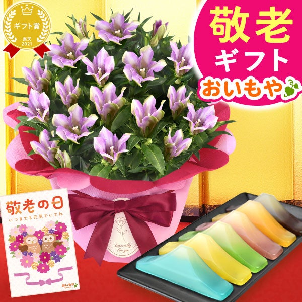 りんどう 5号＆選べるスイーツギフト 敬老の日 プレゼント ギフト 花 りんどう 竜胆 リンドウ 生花 花鉢 孫 ありがとう バウムクーヘン 干し芋 芋けんぴ かりんとう カステラ ようかん あんみつ 秋 送料無料 スイーツ お菓子 和菓子 洋菓子 メッセージカード おいもや
