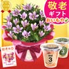 りんどう 5号＆選べるスイーツギフト 敬老の日 プレゼント ギフト 花 りんどう 竜胆 リンドウ 生花 花鉢 孫 ありがとう バウムクーヘン 干し芋 芋けんぴ かりんとう カステラ ようかん あんみつ 秋 送料無料 スイーツ お菓子 和菓子 洋菓子 メッセージカード おいもや