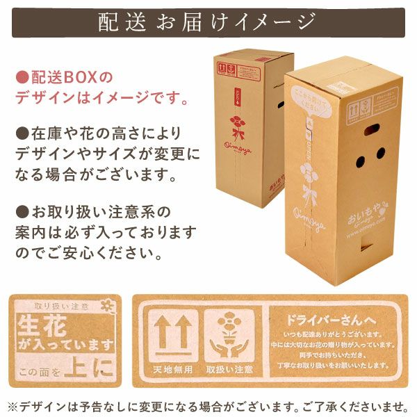 選べるカーネーション(5号)＆スイーツセット [5色×10種] | おいもや