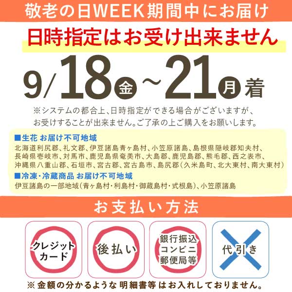 カランコエ 5号鉢 （単品） 敬老の日 プレゼント ギフト 花 花鉢 鉢花 鉢植え 生花 カランコエ 送料無料 メッセージカード おいもや8