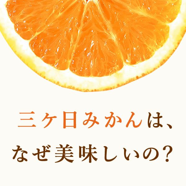冷凍みかん (500g) 【三ケ日みかん 三ヶ日みかん みかん ミカン スイーツ 果物 くだもの デザート 冷凍フルーツ 静岡 ひんやりスイーツ かき氷にも】