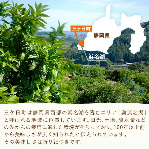 冷凍みかん (500g) 【三ケ日みかん 三ヶ日みかん みかん ミカン スイーツ 果物 くだもの デザート 冷凍フルーツ 静岡 ひんやりスイーツ かき氷にも】