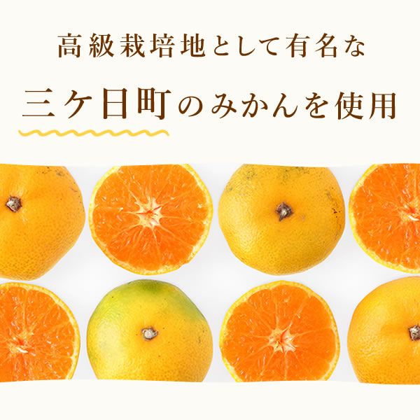 公式】冷凍みかん 500g 三ヶ日みかん｜スイーツ専門店「おいもや」通販