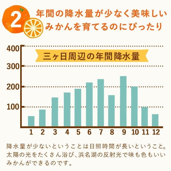 公式】冷凍みかん 500g 三ヶ日みかん｜スイーツ専門店「おいもや」通販
