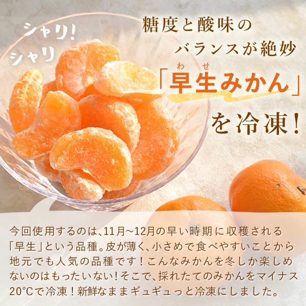 【みかん】e935 11月中旬より発送予定】【数量限定】【有機JAS認証付】有田みかん