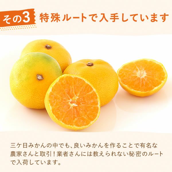 みかんさん 美味しいみかんを作る！傾斜地向け片側S.マルチ【導入編】 - YouTube