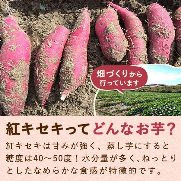 おいもやの二代目干しいも (お粉タイプ・130g×10) 【送料無料 二代目干し芋 2代目 干し芋 干しいも ほしいも ほし芋 国産 無添加 さつまいも サツマイモ 薩摩芋 スイーツ お菓子 和菓子 静岡 名古屋高島屋 池田美来 BRUTUS ブルータス】6