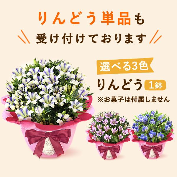 りんどう 5号 敬老の日 プレゼント ギフト 花 りんどう 竜胆 リンドウ 生花 花鉢 孫 秋 送料無料 メッセージカード おいもや