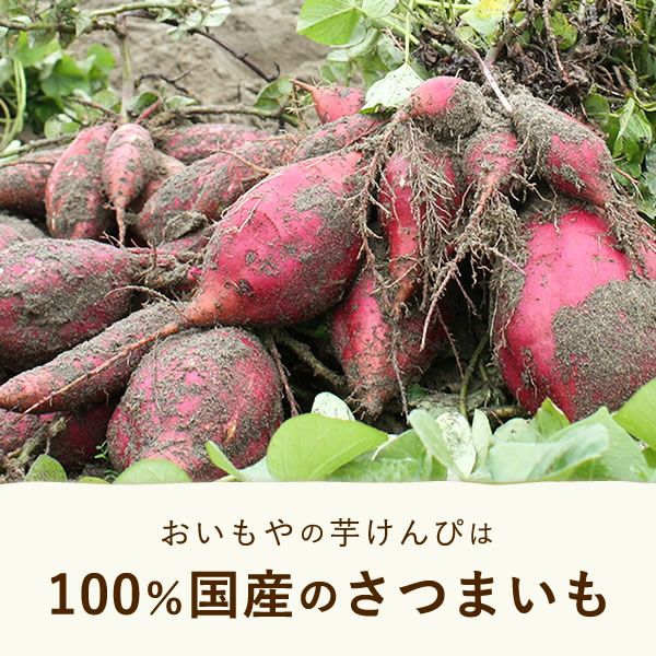 チョコリント ミルクチョコ ホワイトデー チョコ チョコレート 2025 プチギフト プレゼント ギフト 芋けんぴ 芋かりんとう ホワイト スイーツ お菓子 洋菓子 本命 義理 子供 お返し お配り まとめ買い かわいい おしゃれ 個包装 大量 おいもや