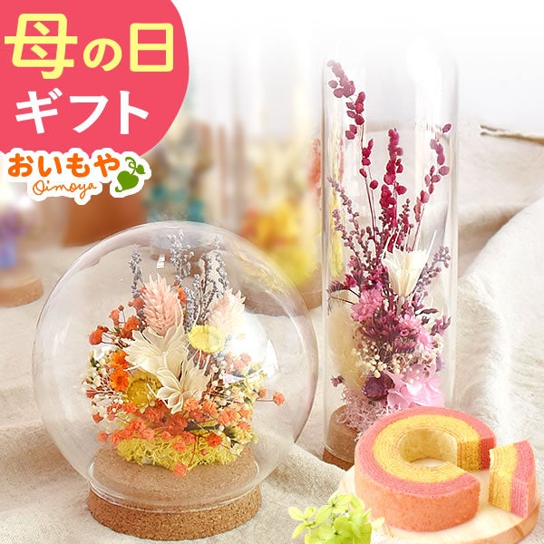ナチュレガーデン(ボトル型)＆バウムクーヘン 母の日 プレゼント 花 ギフト ドライフラワー ガラスドーム アンティーク ナチュラル インテリア 雑貨 置物 玄関 寝室 バウムクーヘン 選べるセット 送料無料 スイーツ お菓子 洋菓子 ギフトセット おいもや
