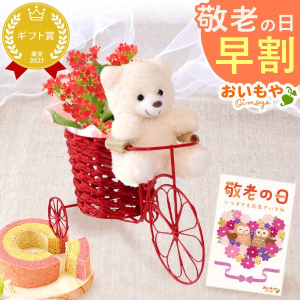 自転車クマさん（カーネーション）＆スイーツセット 母の日 プレゼント 花 ギフト カーネーション ケイトウ 花鉢 鉢花 鉢植え アニマル 犬 猫 ネコ ねこ クマ くま バウムクーヘン いちご 苺 イチゴ 送料無料 スイーツ お菓子 洋菓子 ギフトセット おいもや