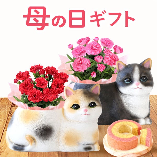 おすましキャット＆バウムクーヘンセット 母の日 プレゼント 花 ギフト カーネーション ケイトウ 花鉢 鉢花 鉢植え アニマル 犬 猫 ネコ ねこ クマ くま バウムクーヘン いちご 苺 イチゴ 送料無料 スイーツ お菓子 洋菓子 ギフトセット おいもや