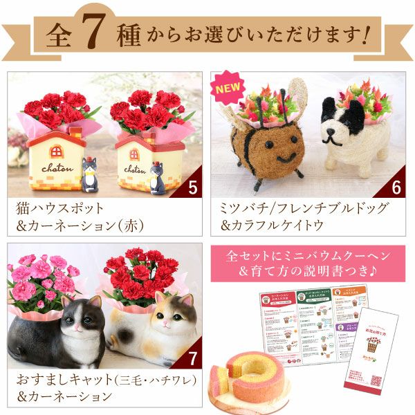 おすましキャット＆バウムクーヘンセット | おいもや