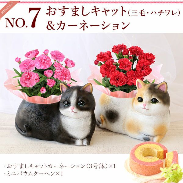 おすましキャット＆バウムクーヘンセット | おいもや