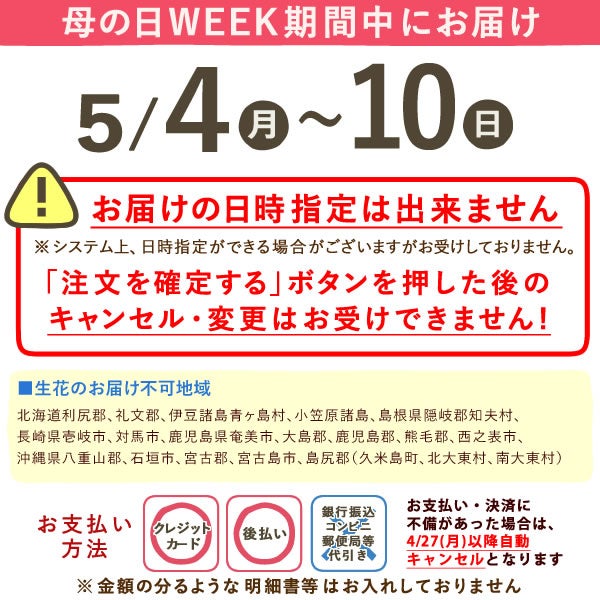 富士枝垂れ桜＆お芋どら焼き 母の日 プレゼント 花 生花 ギフト ははの日 花 生花 ギフト 桜 さくら 盆栽 ミニ盆栽 鉢植え 花鉢 鉢花 フラワーギフト おしゃれ オシャレ 可愛い どら焼き 送料無料 スイーツ お菓子 和菓子 ギフトセット おいもや
