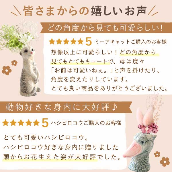 アニマル一輪挿し＆ドライブーケとバウムクーヘンセット | おいもや