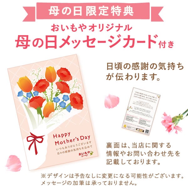 母の日 プレゼント 花 ギフト 動物 アニマル グッズ アニマル キャラクター かわいい おしゃれ インテリア 雑貨 ドライフラワー 一輪挿し 花瓶 フラワーベース ペン立て 実用的 玄関 置物 送料無料 スイーツ お菓子 洋菓子 ギフトセット おいもや 21