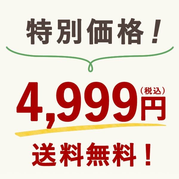 【本店サイト限定】おいもや本店お芋スイーツバラエティ福袋4999 人気お芋スイーツを詰め込んだ、おいもや特製バラエティセット！