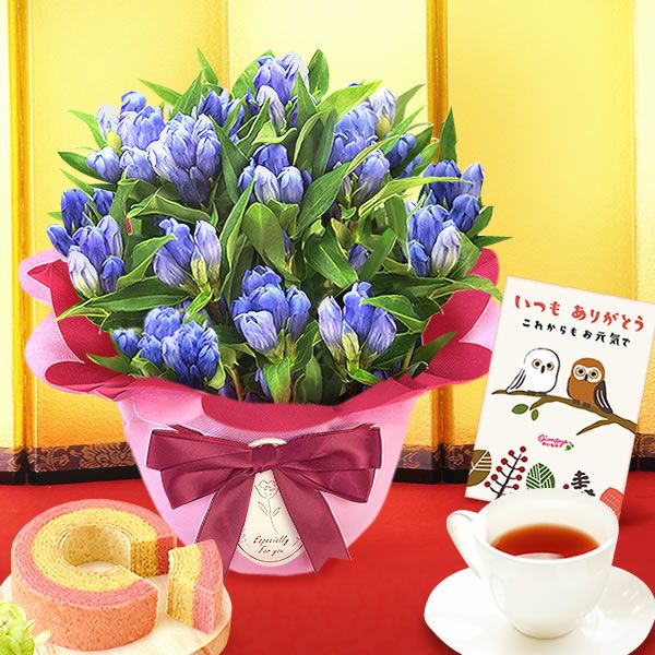 りんどう 5号 敬老の日 プレゼント ギフト 花 りんどう 竜胆 リンドウ 生花 花鉢 孫 秋 送料無料 メッセージカード おいもや