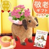 わんちゃんカランコエ（3号サイズ）＆ミニ苺バウムセット 敬老の日 プレゼント ギフト 花 花鉢 鉢花 鉢植え 生花 カランコエ 動物 犬 バウムクーヘン 送料無料 スイーツ お菓子 和菓子 洋菓子 メッセージカード おいもや