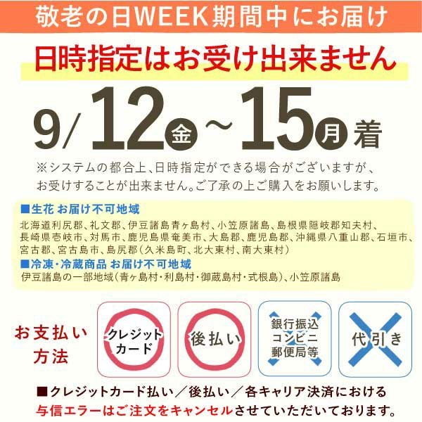 カランコエ5号鉢＆和菓子セット 敬老の日 プレゼント ギフト 花 花鉢 鉢花 鉢植え 生花 カランコエ どら焼き 干し芋 芋けんぴ 送料無料 スイーツ お菓子 和菓子 メッセージカード おいもや