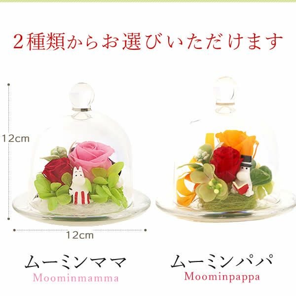 ムーミン ドリームプラザ＋バウムクーヘンセット 敬老の日 プレゼント ギフト 花 プリザーブドフラワー ムーミン グッズ 珍しい 送料無料 スイーツ お菓子 洋菓子 メッセージカード おいもや