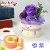 選べる雪だるまミニプリザーブドフラワー＆苺のミニバウムセット