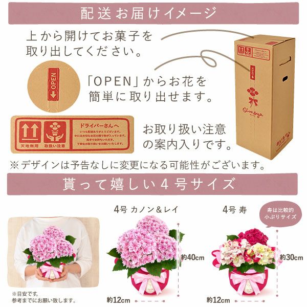 あじさい (4号)産直＆選べるスイーツセット 母の日 プレゼント ははの日 花 生花 ギフト 選べる アジサイ 紫陽花 あじさい 4号 鉢花 花鉢 鉢植え 生花 どら焼き どらやき スイートポテト みかんゼリー 産地直送 送料無料 スイーツ お菓子 和菓子 洋菓子 ギフトセット おいもや