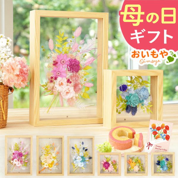 母の日 プレゼント 2026 花 プリザーブドフラワー ソーラーローズ フレームフラワー フラワーギフト アレンジメント インテリア フレーム ギフト bloom for you 送料無料 スイーツ お菓子 洋菓子 バウムクーヘン さつまいも おいもや