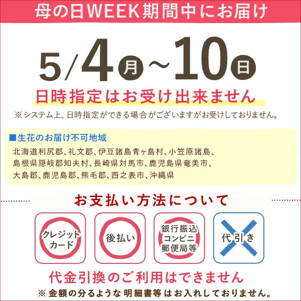 母の日 プレゼント 2026 花 生花 蘭 胡蝶蘭 ラン 鉢花 鉢植え 産地直送 産直 ミディ 可愛い かわいい インテリア 壁掛け スタンド バウムクーヘン 苺 お手入れ簡単 ギフト 送料無料 スイーツ お菓子 洋菓子 おいもや