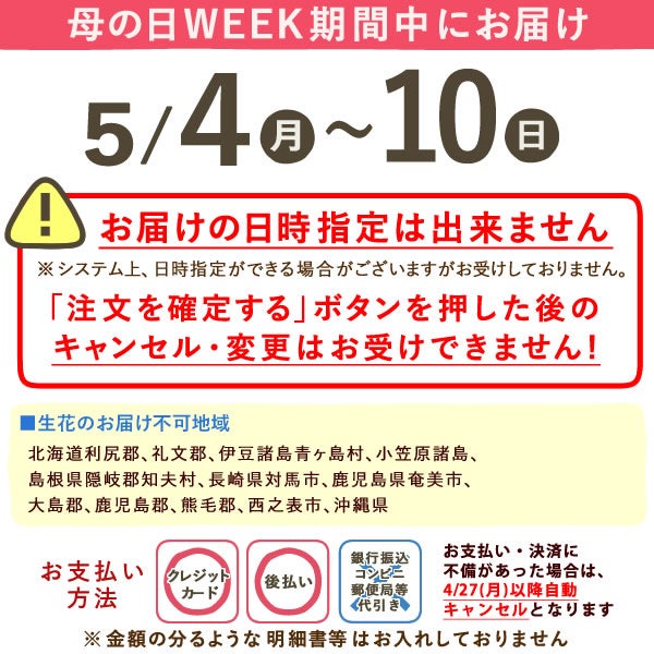母の日 プレゼント 2026 花 生花 蘭 胡蝶蘭 ラン 鉢花 鉢植え 産地直送 産直 ミディ 可愛い かわいい インテリア 壁掛け スタンド バウムクーヘン 苺 お手入れ簡単 ギフト 送料無料 スイーツ お菓子 洋菓子 おいもや